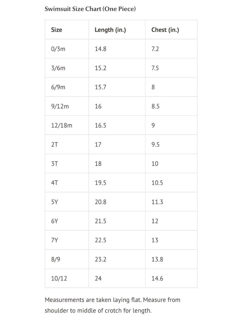 Preppy Flamingo Lace 1 PC Swimsuit