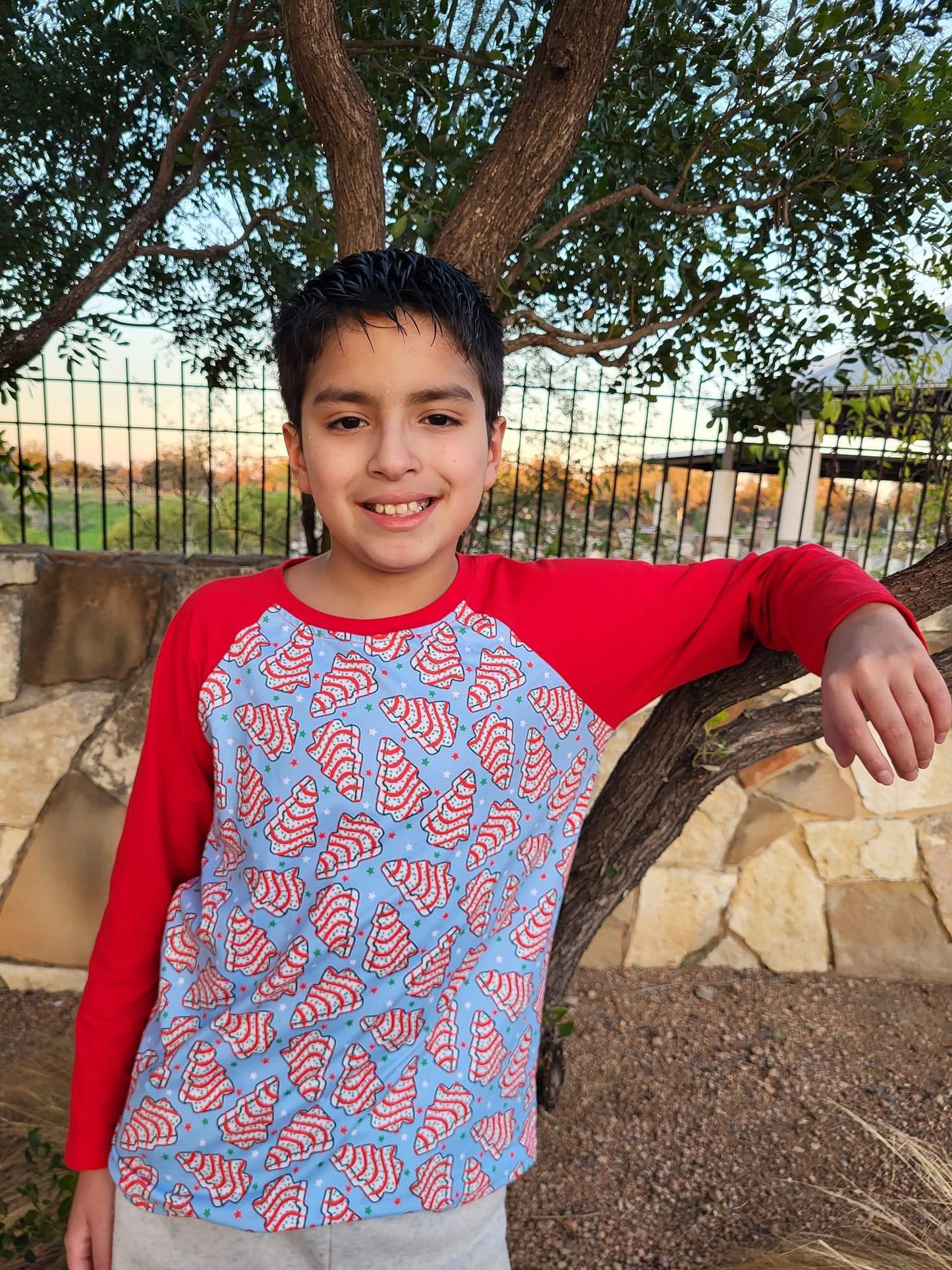 Christmas Cakes Raglan