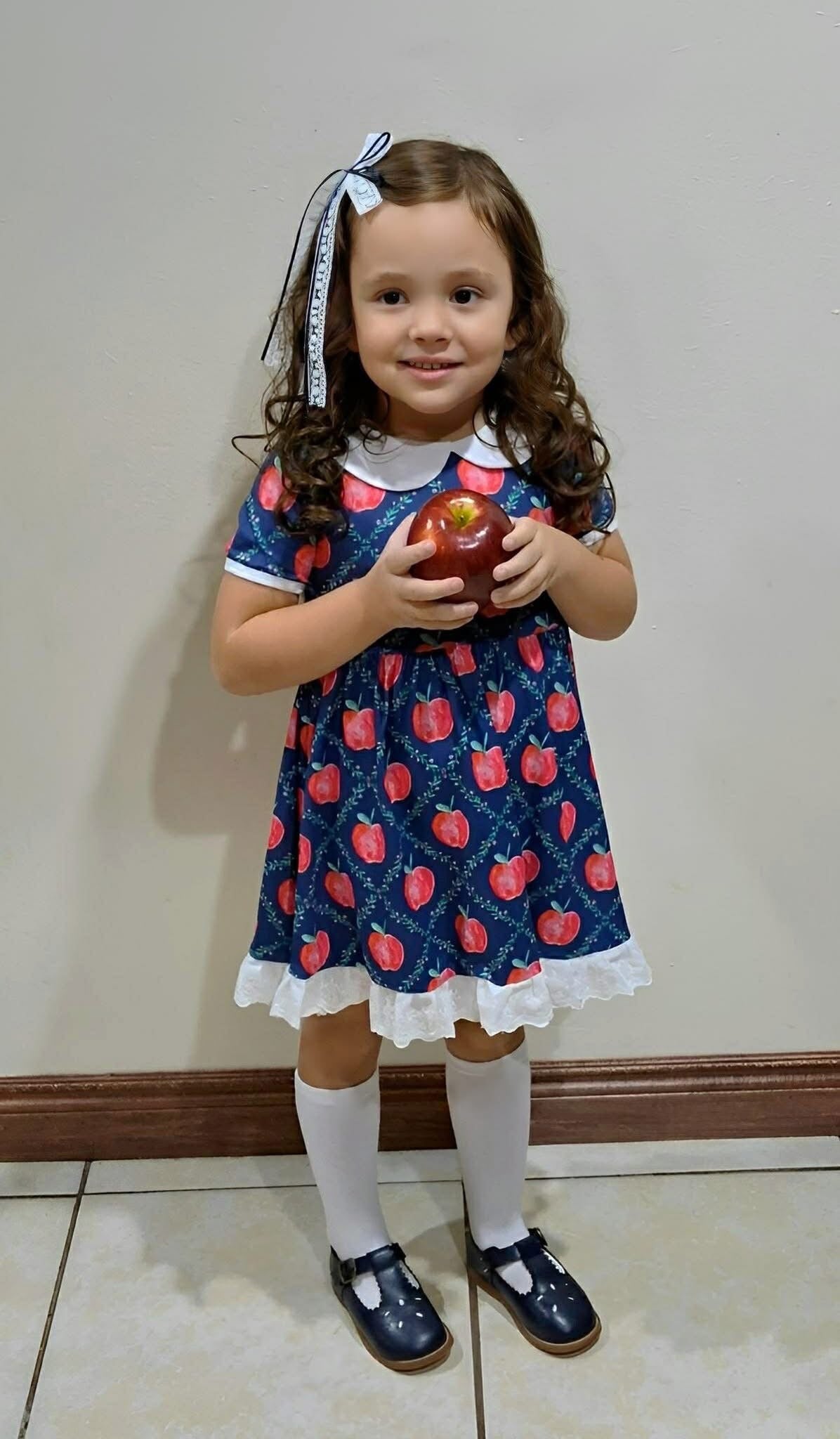 HONOR ROLL APPLE Lace Collar Dress