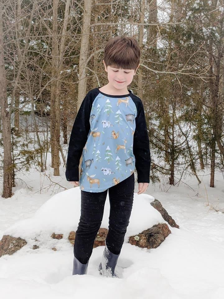 Blue Woodland Animals Raglan