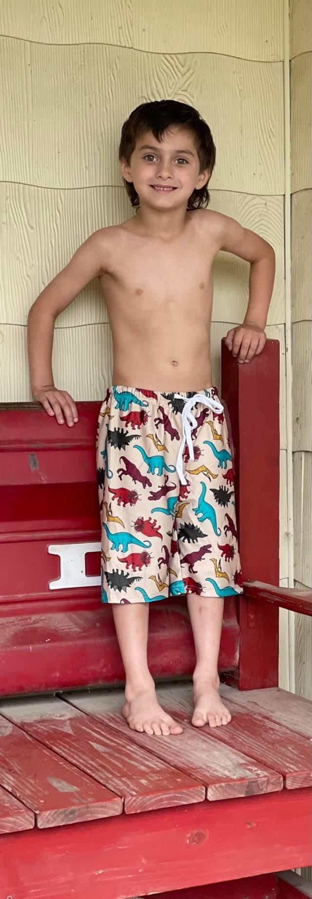 Retro Dino Board Shorts