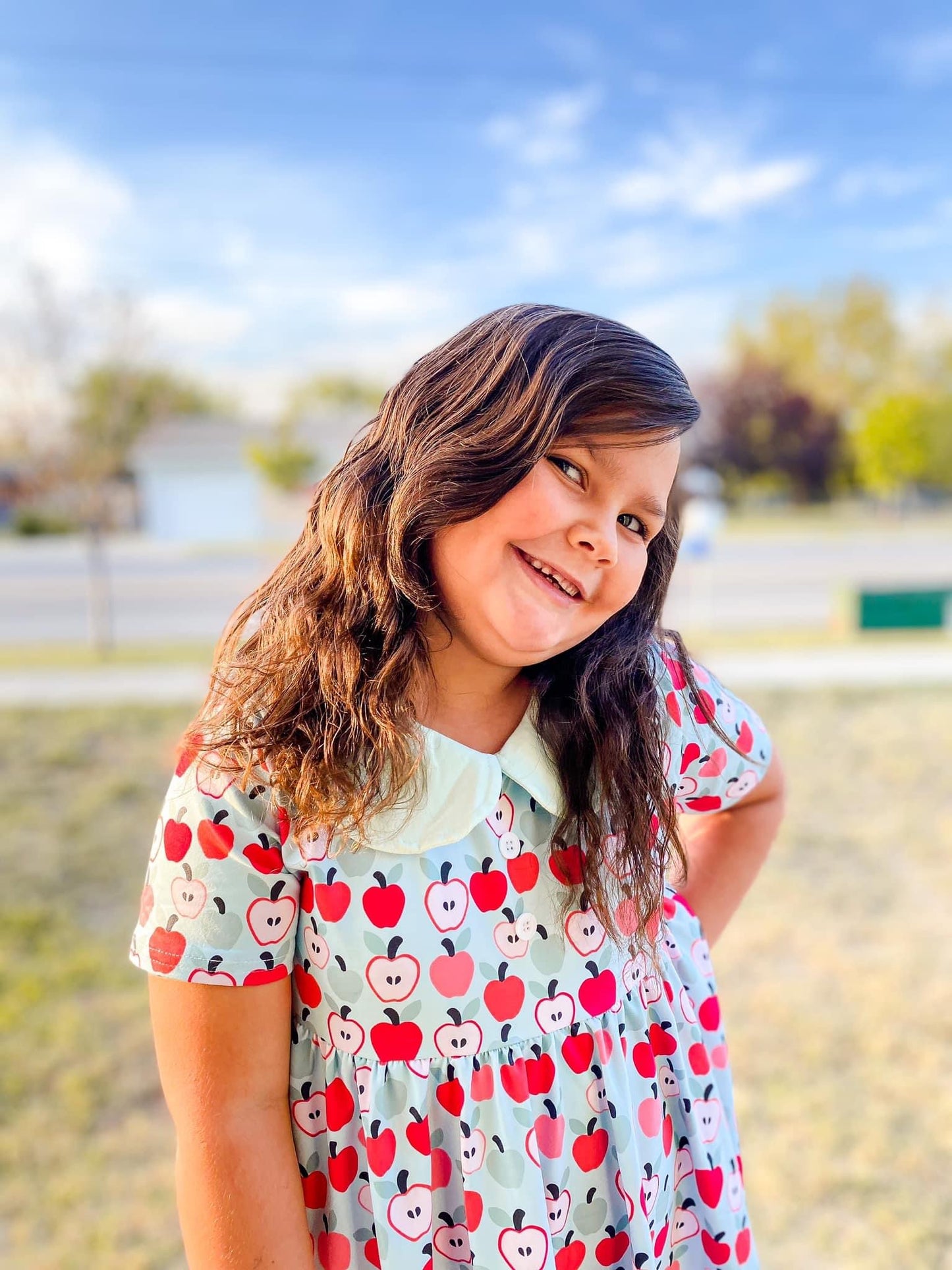 Apple of My Eye Lace Collar Dress