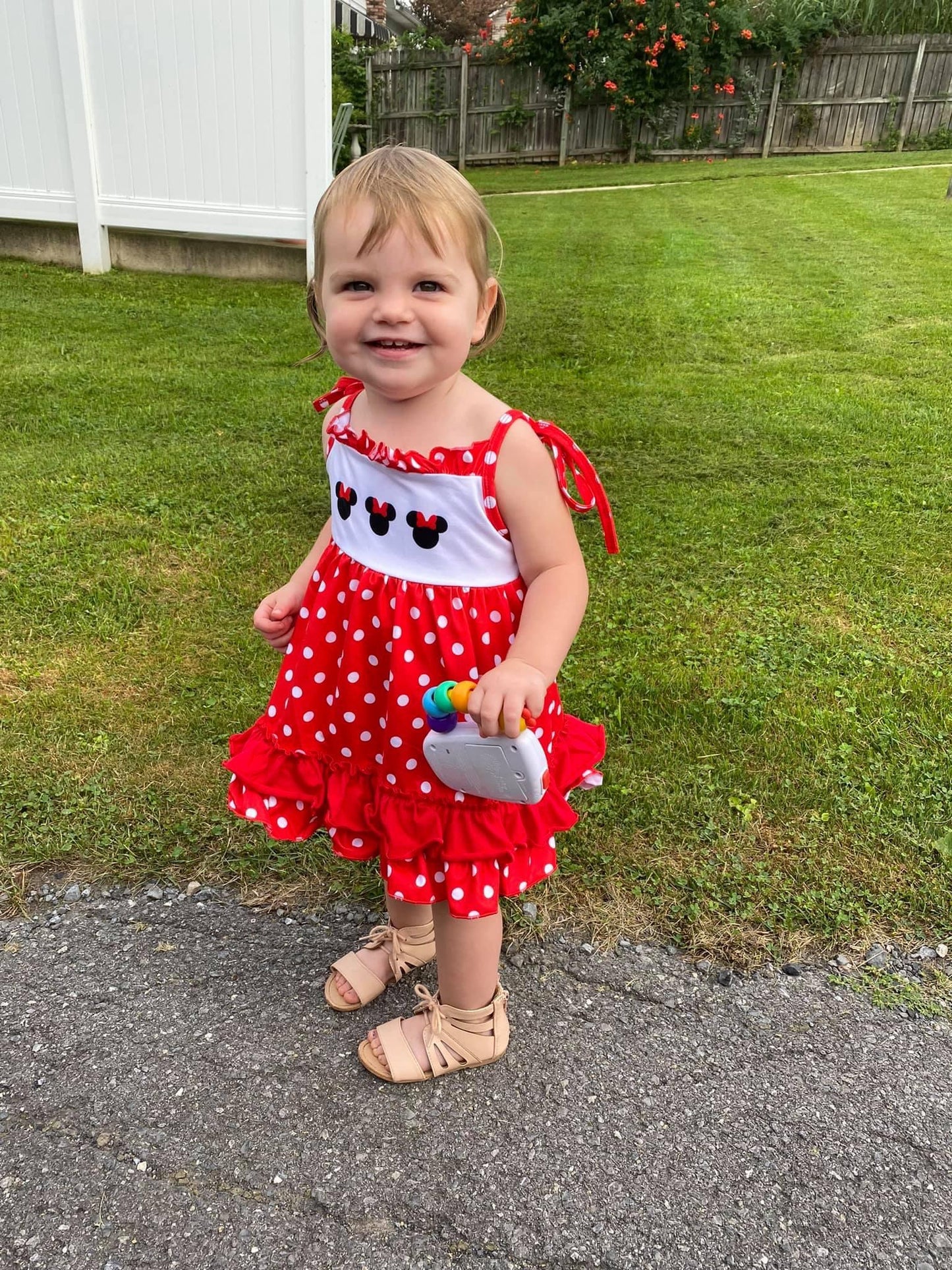 Take Me to the Mouse Dress