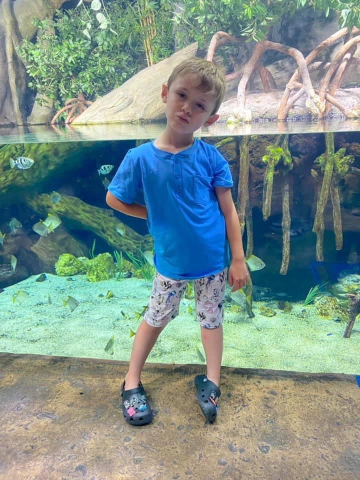 Sea Life Henley & Short Set