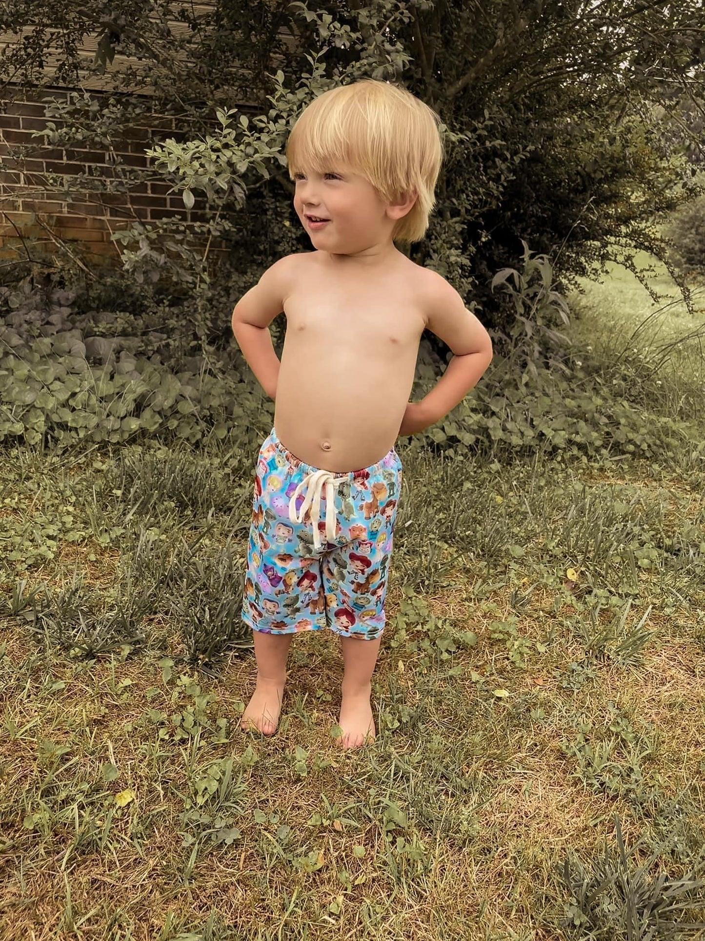 Toy Friends Board Shorts