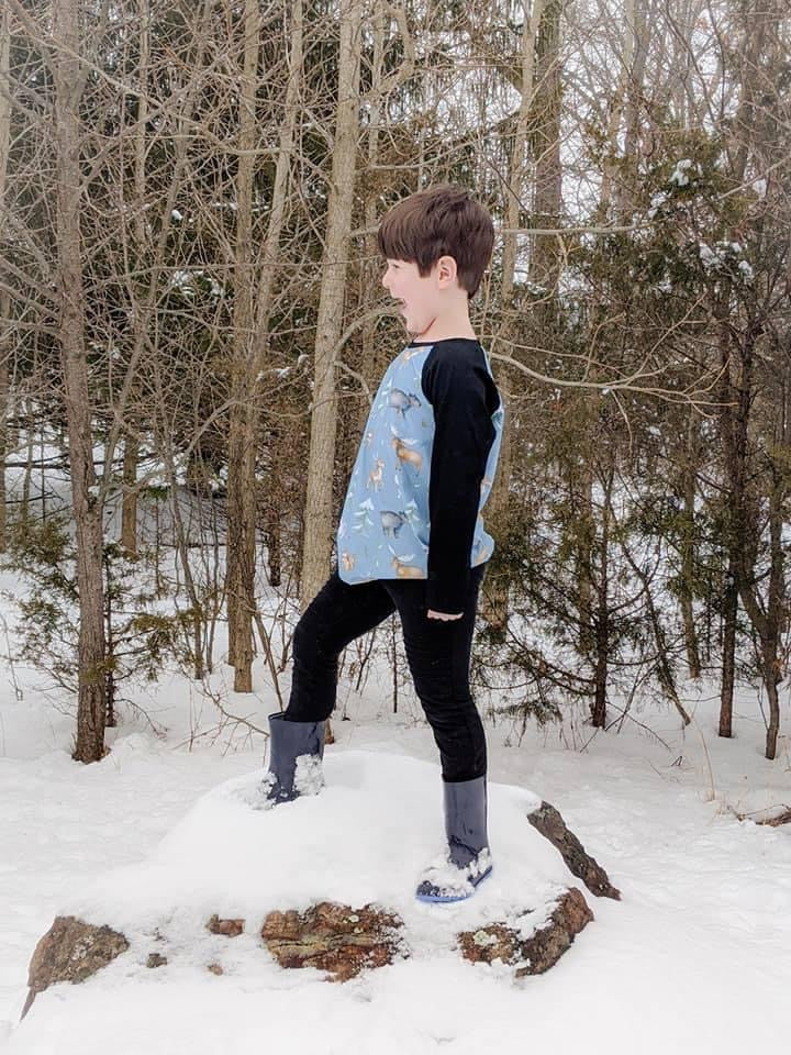Blue Woodland Animals Raglan