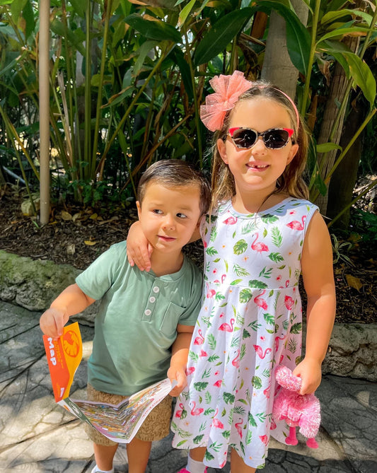 Tropical Flamingo Cross Back Tank Twirl Dress