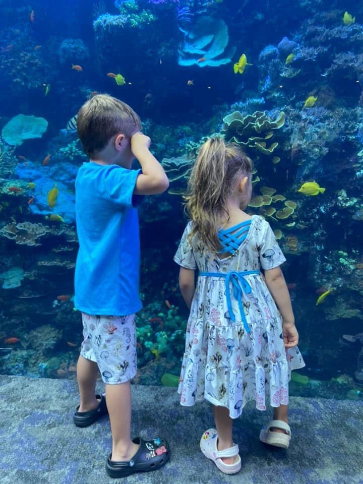 Sea Life Henley & Short Set