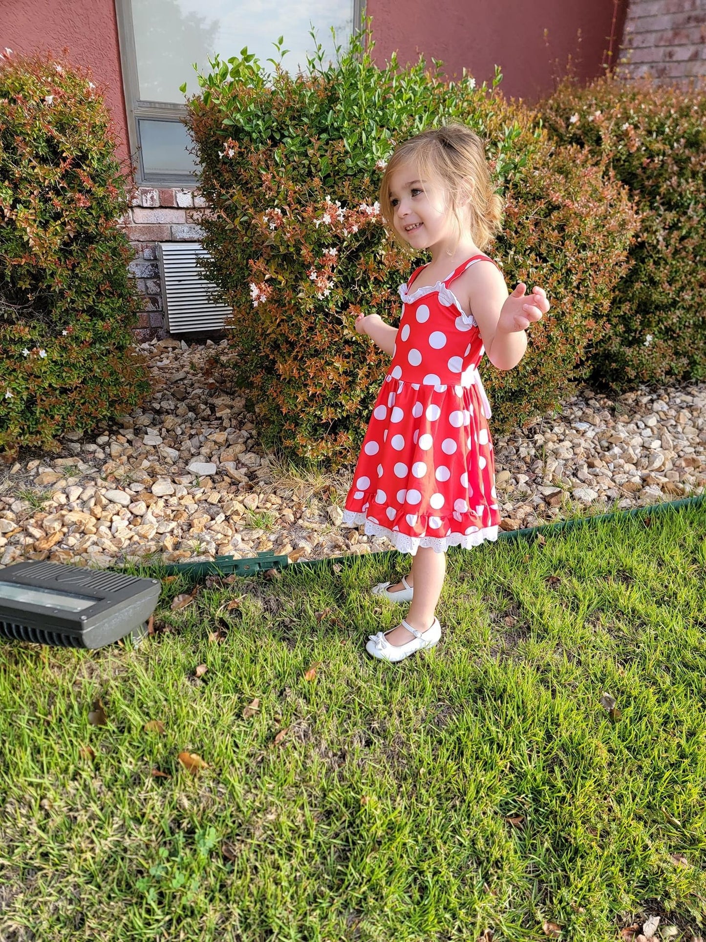 Red Polka Dot Mouse Ruffle Dress
