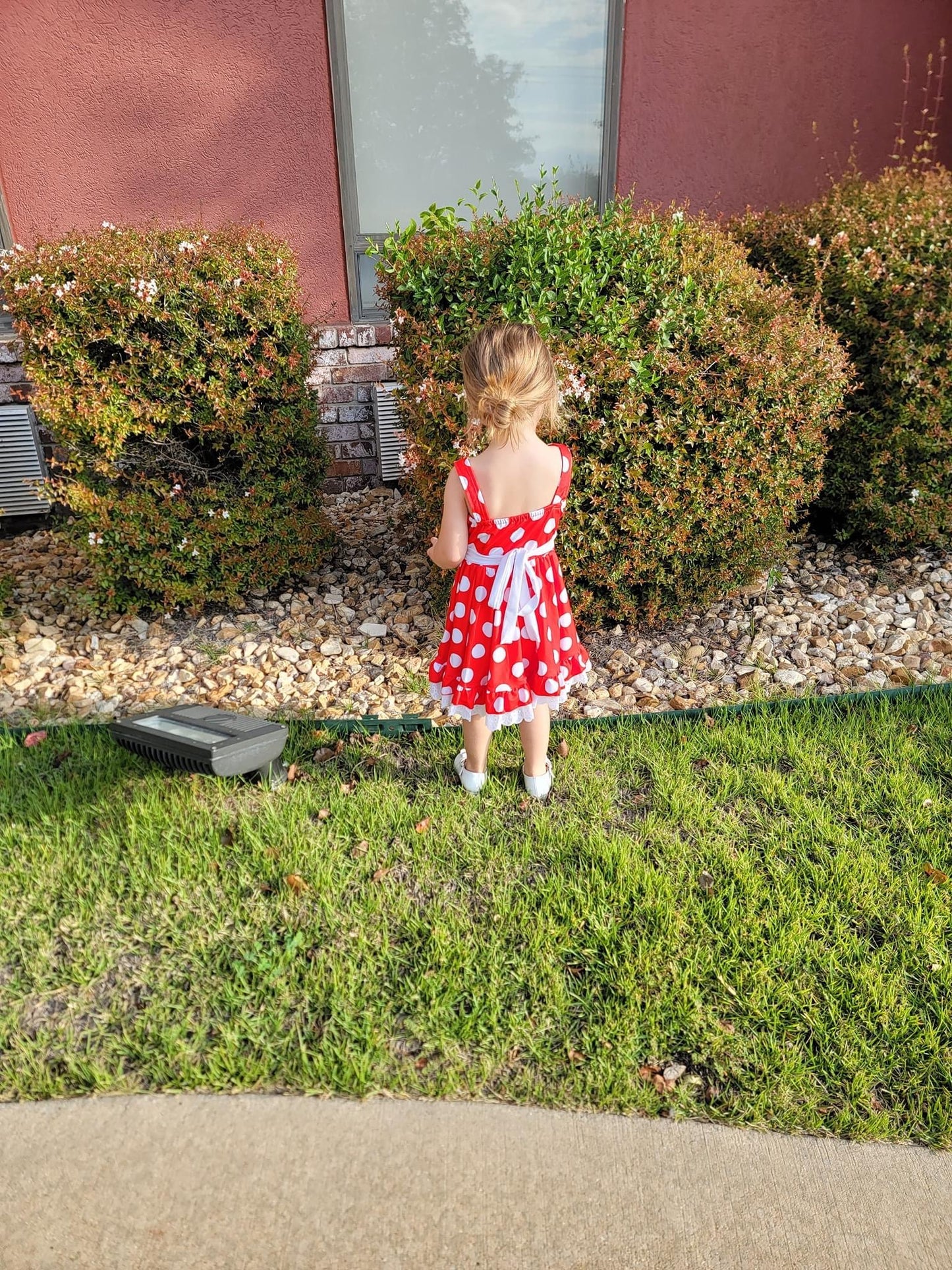 Red Polka Dot Mouse Ruffle Dress